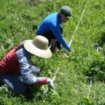Vegetation Monitoring
